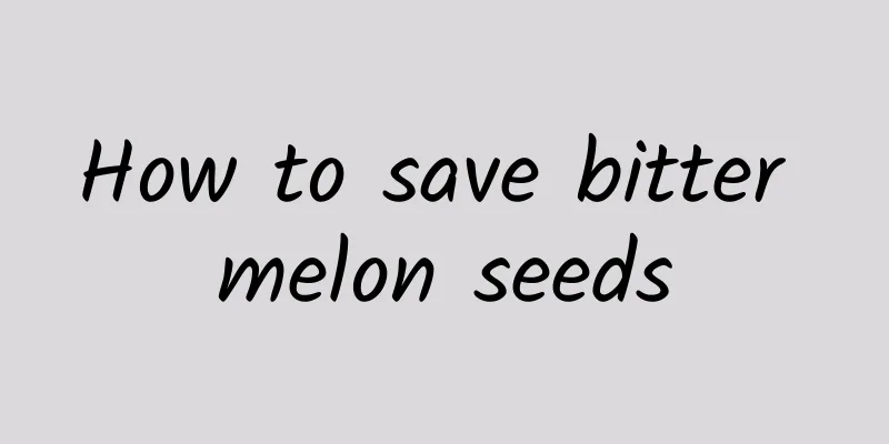 How to save bitter melon seeds