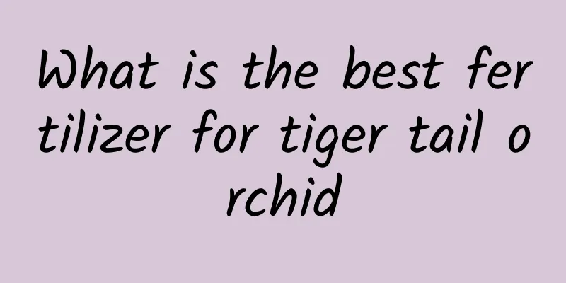 What is the best fertilizer for tiger tail orchid