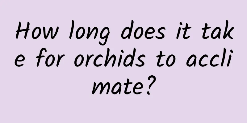 How long does it take for orchids to acclimate?