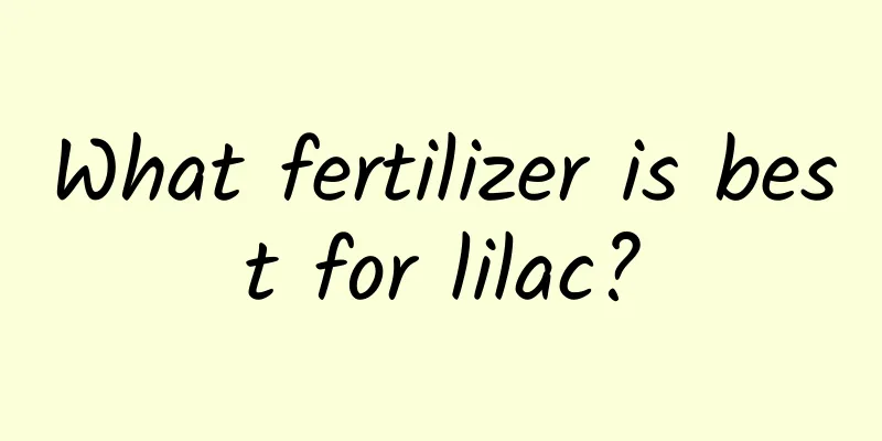 What fertilizer is best for lilac?