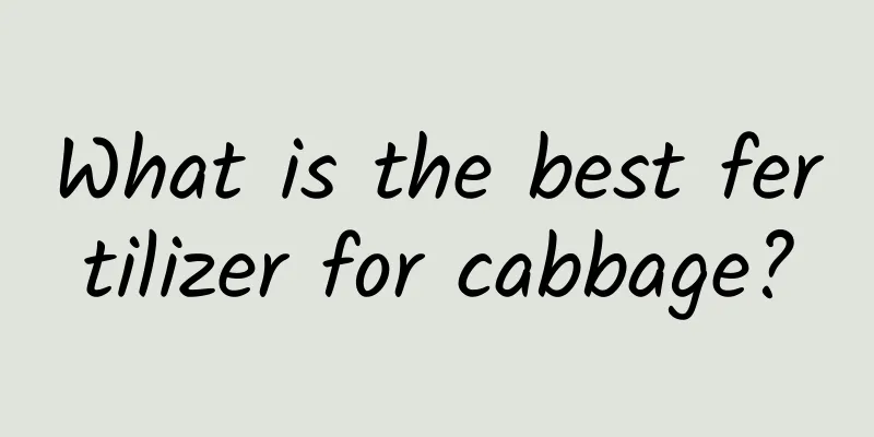 What is the best fertilizer for cabbage?