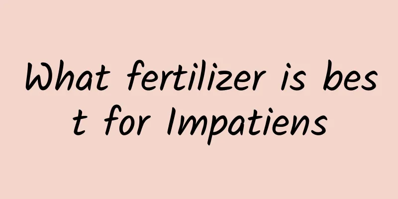 What fertilizer is best for Impatiens