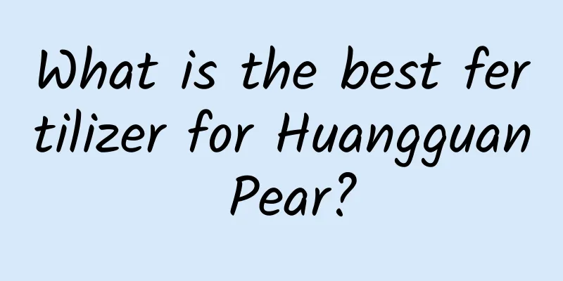 What is the best fertilizer for Huangguan Pear?