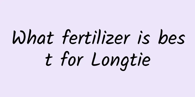 What fertilizer is best for Longtie