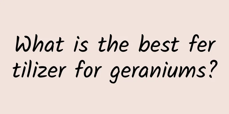 What is the best fertilizer for geraniums?