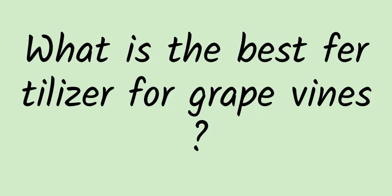 What is the best fertilizer for grape vines?