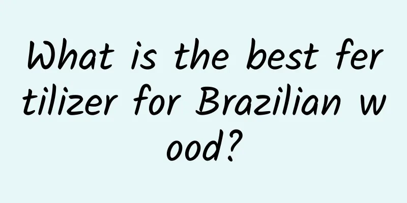 What is the best fertilizer for Brazilian wood?