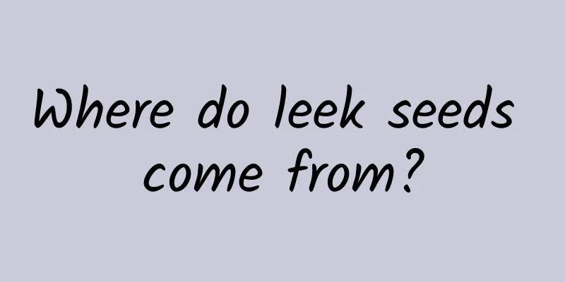 Where do leek seeds come from?