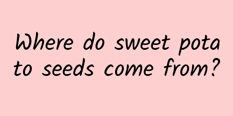 Where do sweet potato seeds come from?