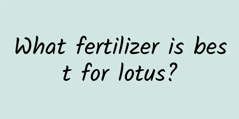 What fertilizer is best for lotus?