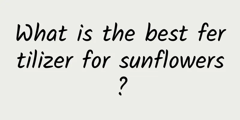 What is the best fertilizer for sunflowers?