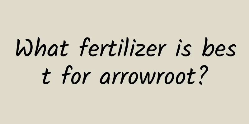 What fertilizer is best for arrowroot?