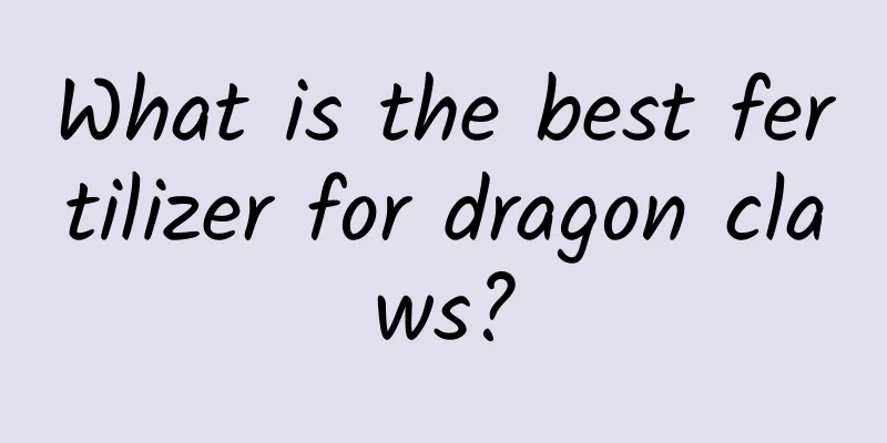 What is the best fertilizer for dragon claws?