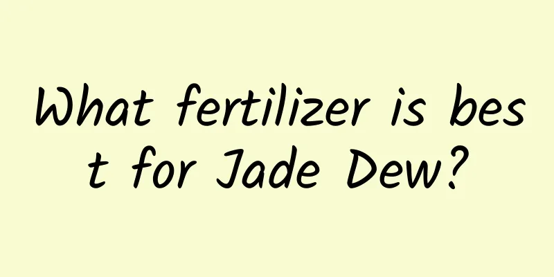 What fertilizer is best for Jade Dew?