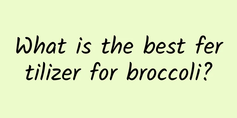 What is the best fertilizer for broccoli?