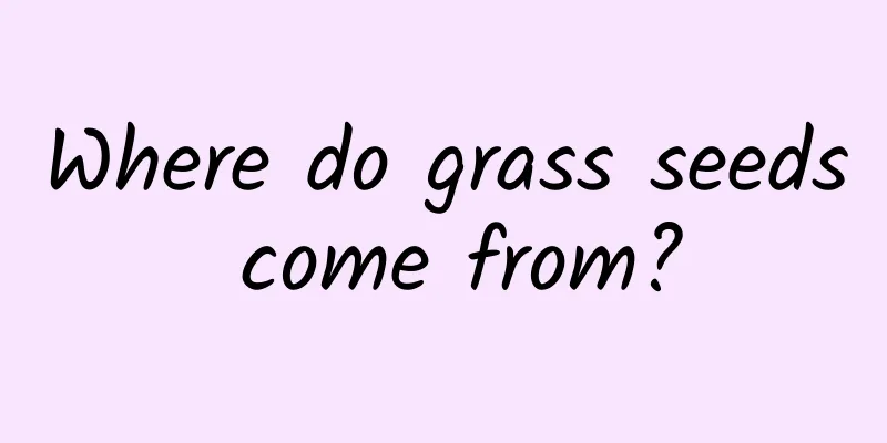 Where do grass seeds come from?
