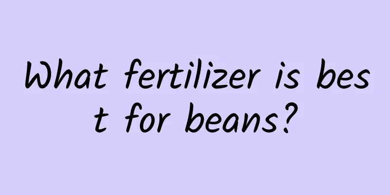 What fertilizer is best for beans?