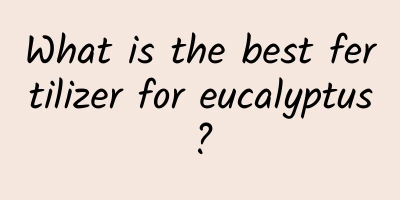 What is the best fertilizer for eucalyptus?
