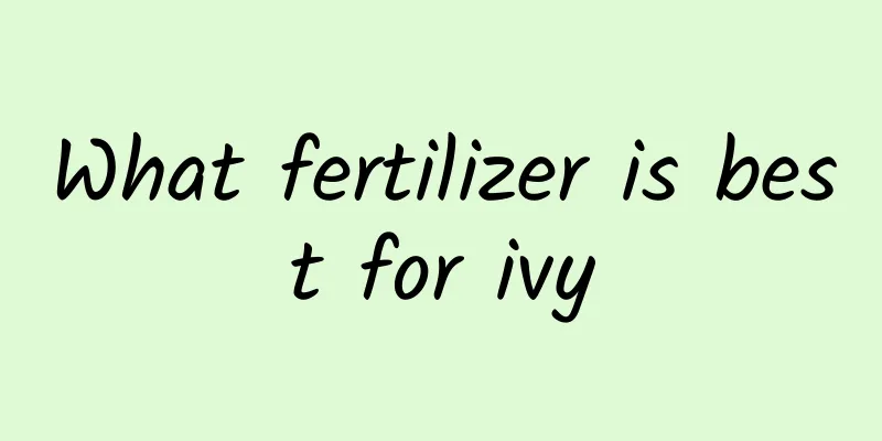What fertilizer is best for ivy