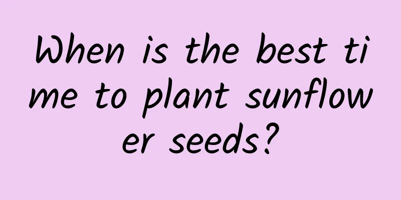 When is the best time to plant sunflower seeds?