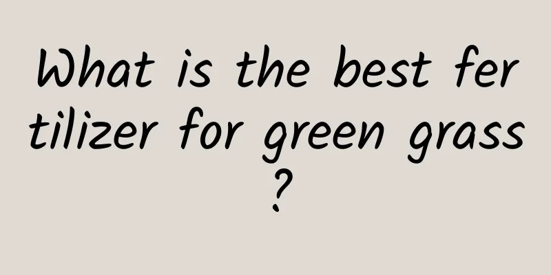 What is the best fertilizer for green grass?