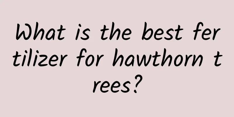 What is the best fertilizer for hawthorn trees?