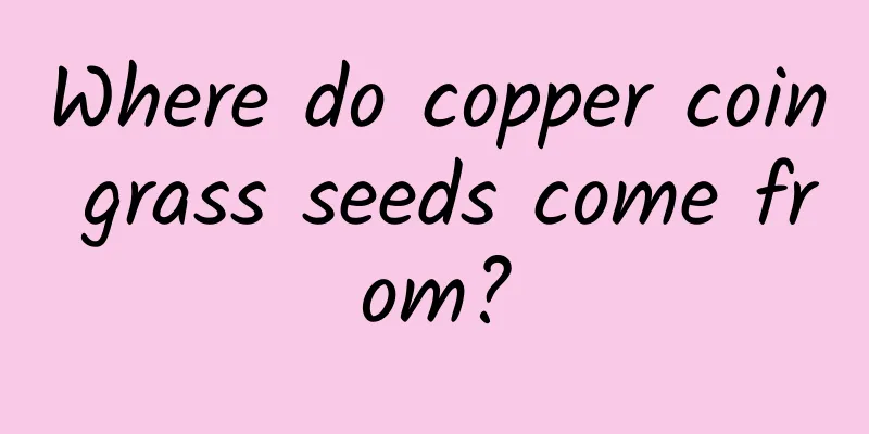 Where do copper coin grass seeds come from?