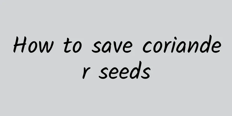 How to save coriander seeds
