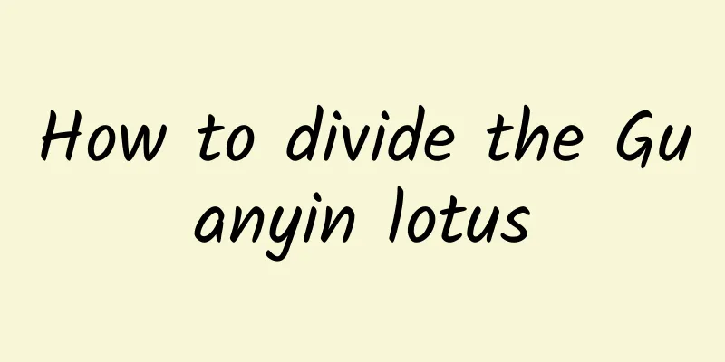 How to divide the Guanyin lotus