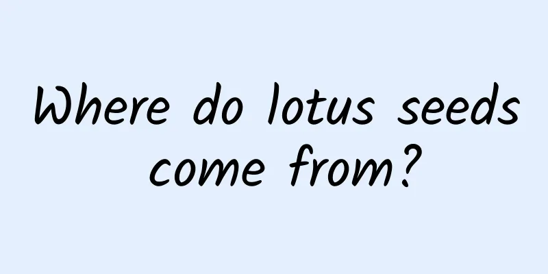 Where do lotus seeds come from?