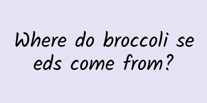 Where do broccoli seeds come from?
