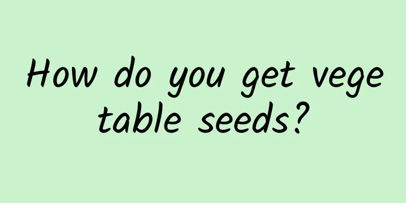 How do you get vegetable seeds?