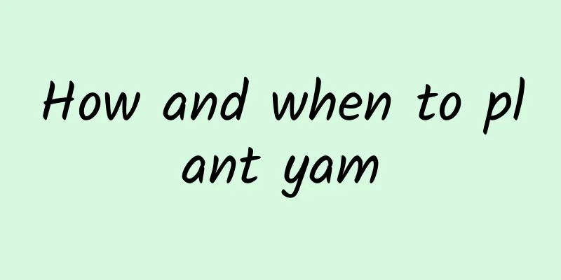 How and when to plant yam