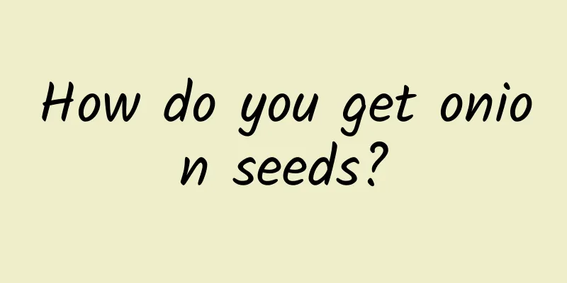 How do you get onion seeds?