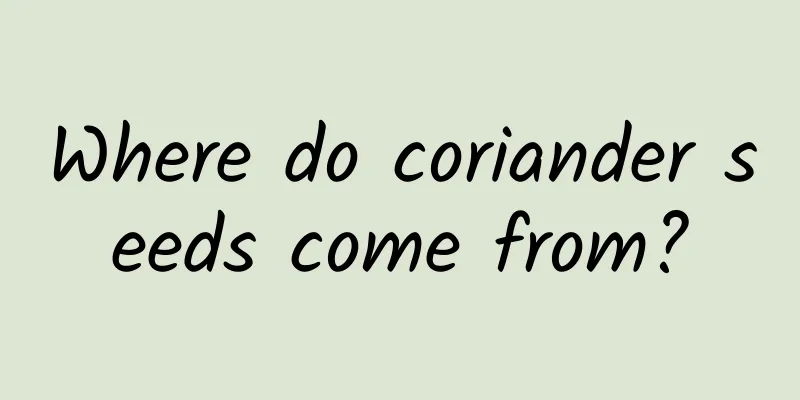 Where do coriander seeds come from?