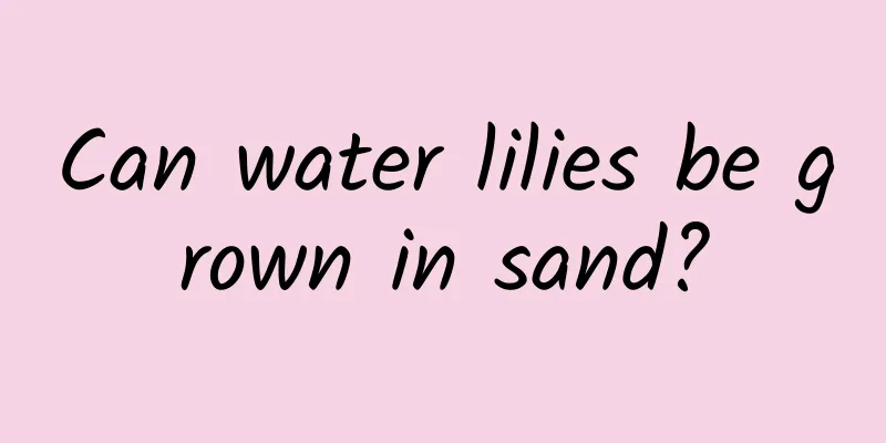 Can water lilies be grown in sand?