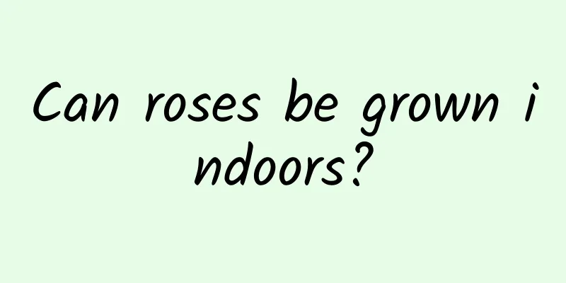 Can roses be grown indoors?