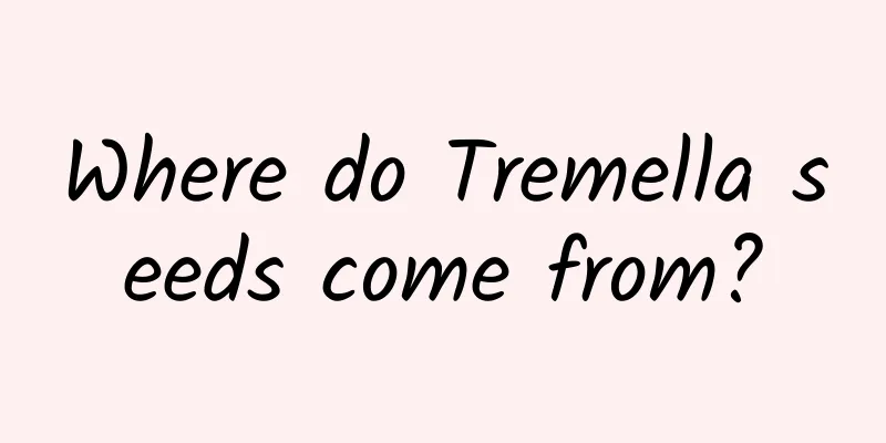 Where do Tremella seeds come from?