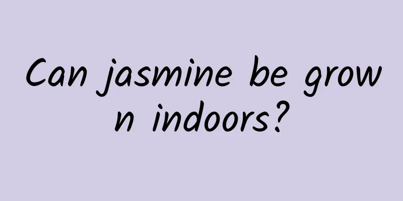Can jasmine be grown indoors?