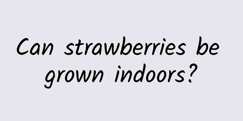 Can strawberries be grown indoors?