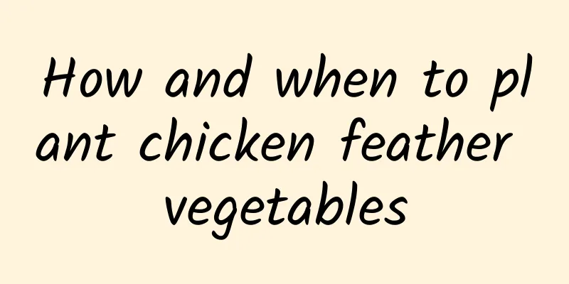 How and when to plant chicken feather vegetables