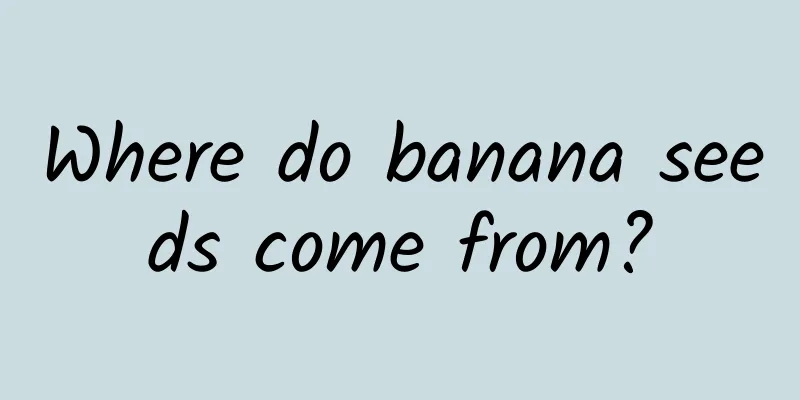Where do banana seeds come from?