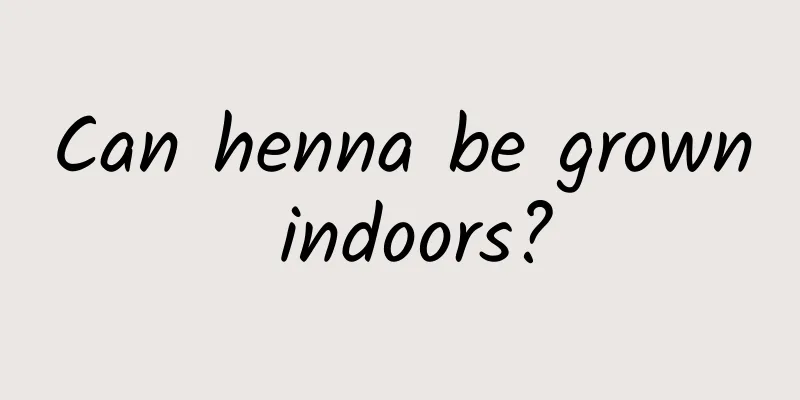 Can henna be grown indoors?