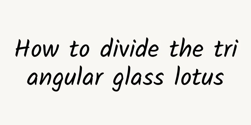 How to divide the triangular glass lotus
