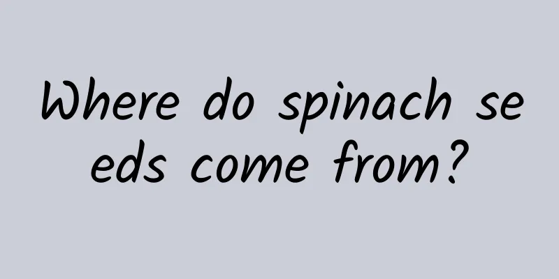 Where do spinach seeds come from?
