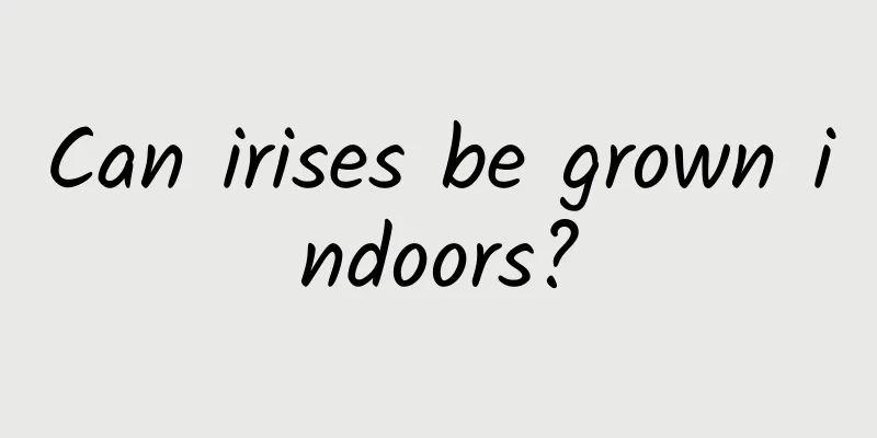 Can irises be grown indoors?
