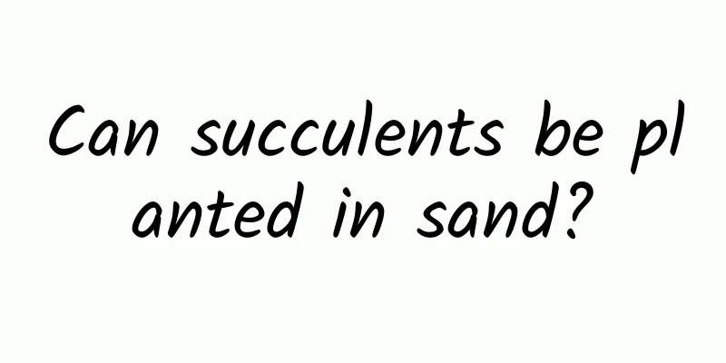 Can succulents be planted in sand?
