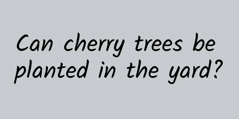 Can cherry trees be planted in the yard?