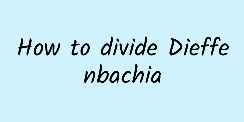 How to divide Dieffenbachia
