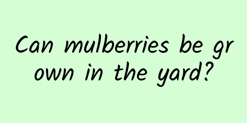 Can mulberries be grown in the yard?